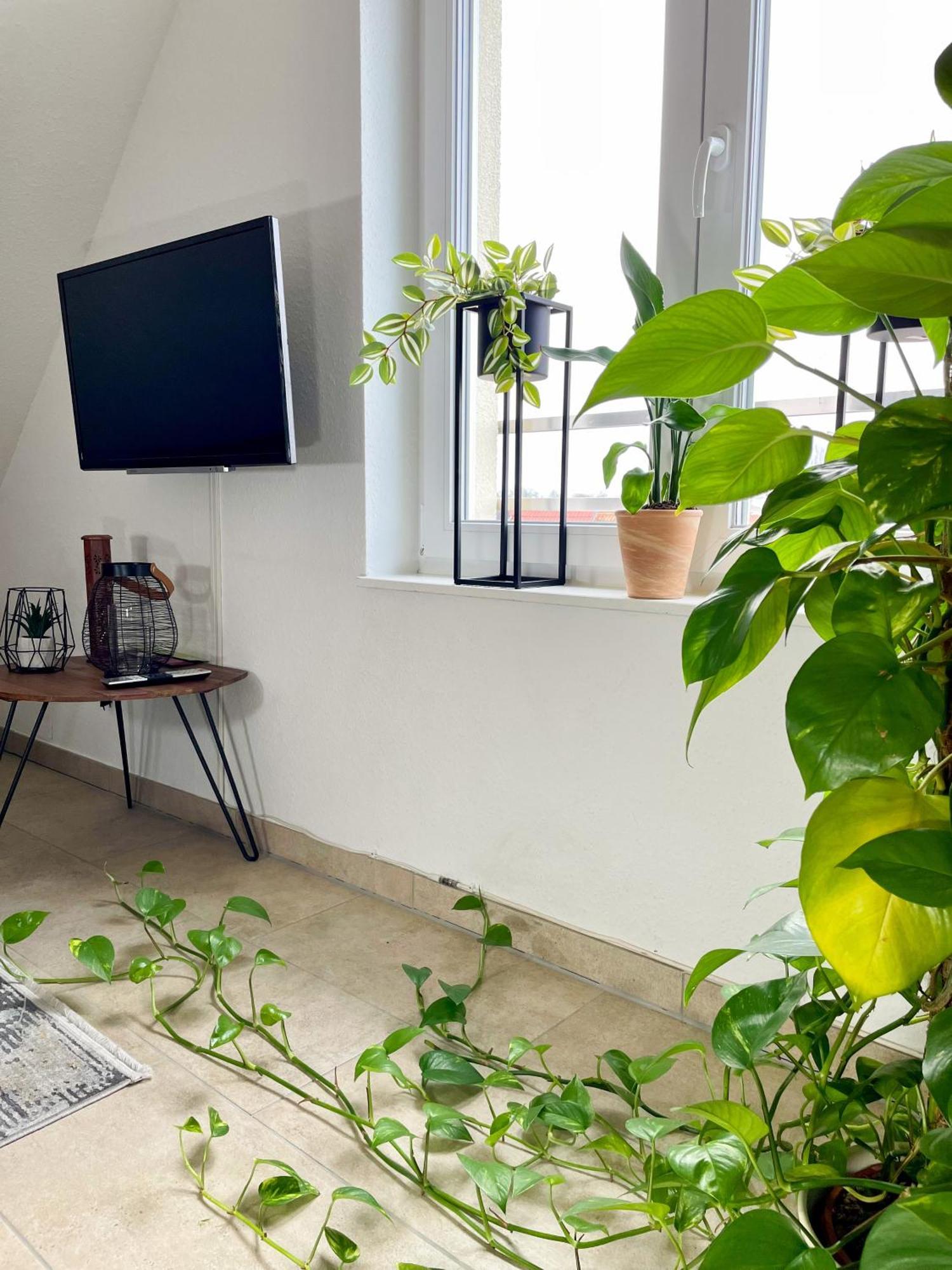 Ahaus: Stadtoase Mit Terrasse & Privater Garage מראה חיצוני תמונה